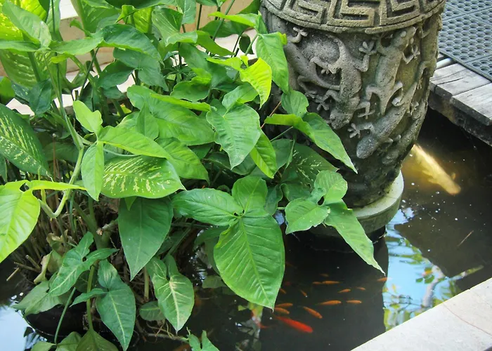 The Chand - A Hidden Gem In Petitenget *